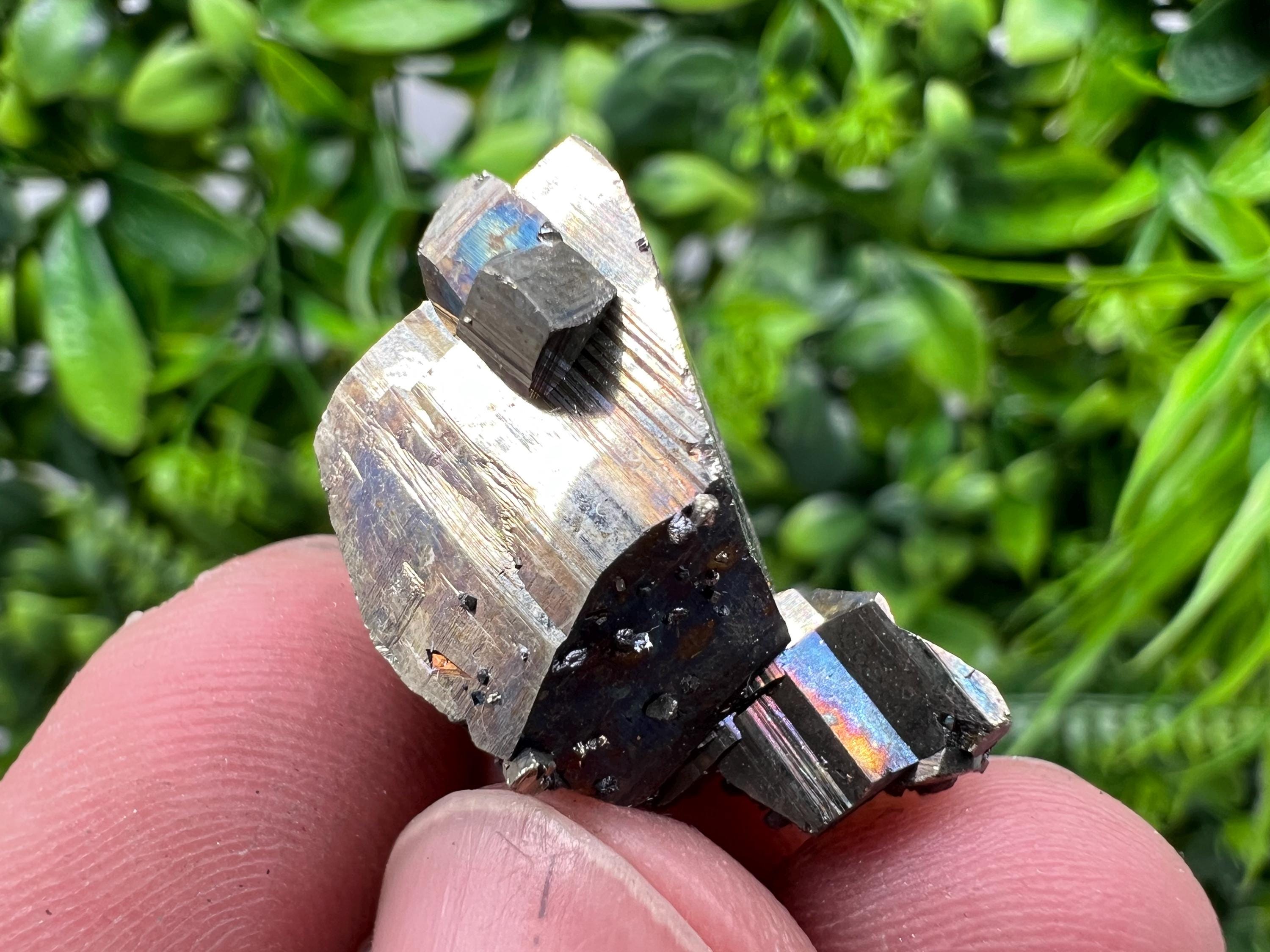 Rare Crystallization Pyrite, Borieva Mine, Bulgaria, Rainbow Golden Pyrite