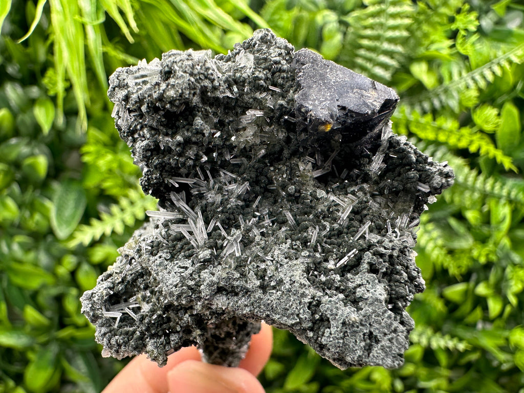 Sphalerite Galena on Green Quartz: Borieva Mine Crystal Decor