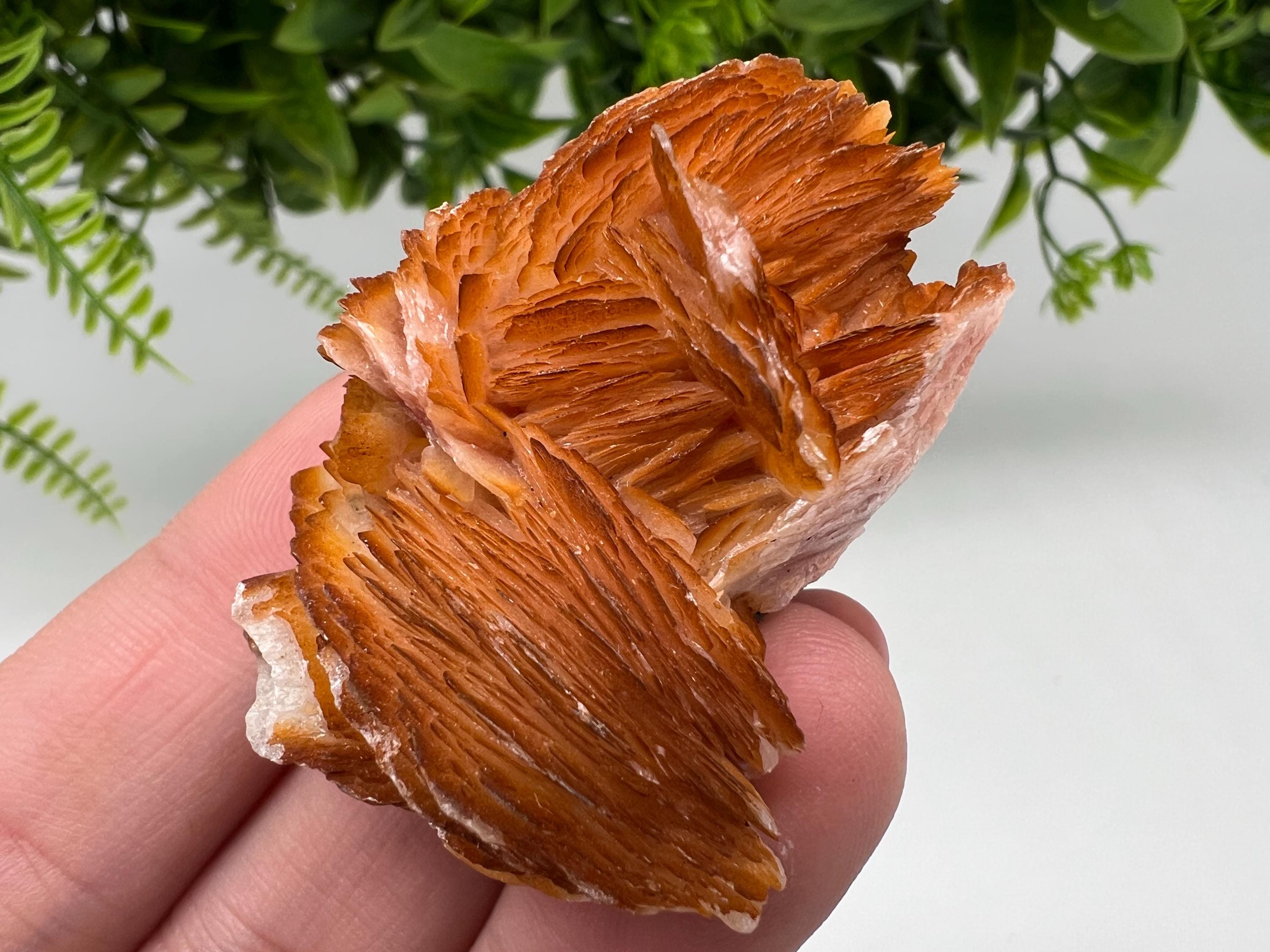 Wonderful Baryte with Cerussite on Galena from Morocco,Crystal, Mineral,Specimen,Cluster,Crystals,Barite Crystal,Cerussite Crystal,Specimen