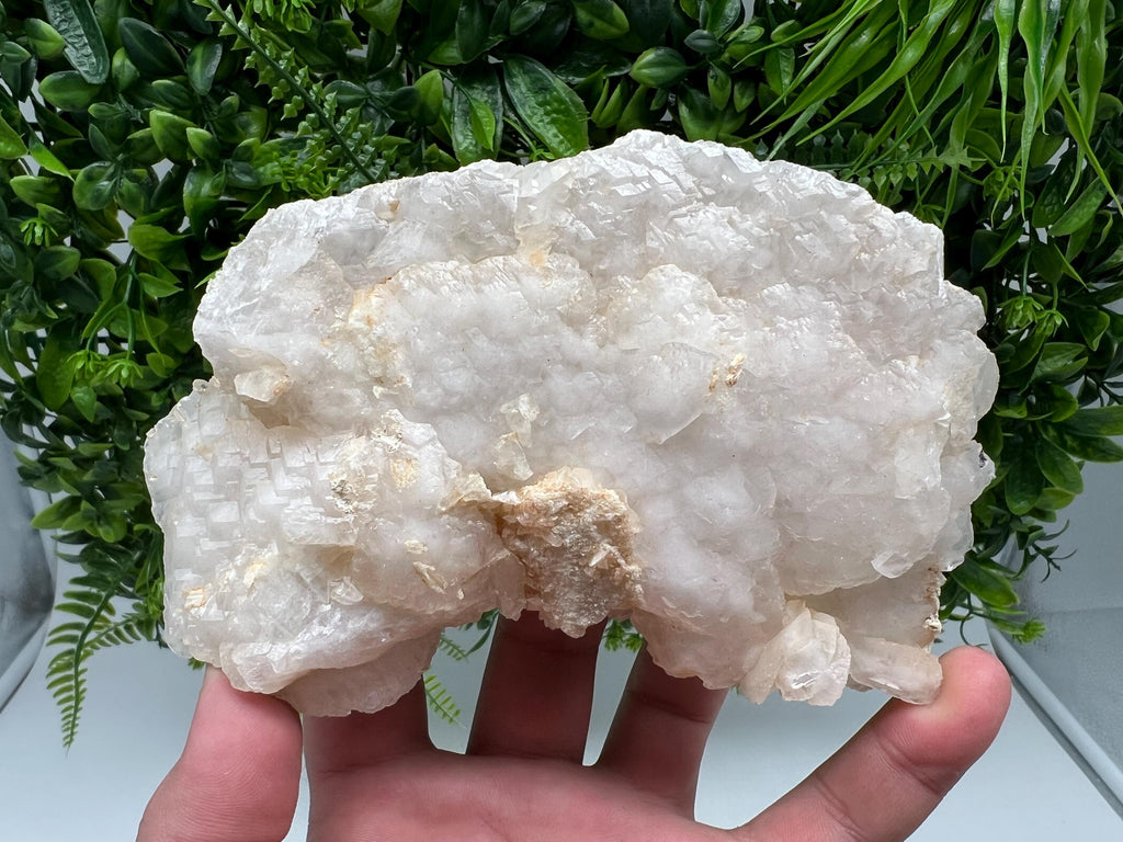 Mangano Calcite with Galena, Borieva Mine, Bulgaria