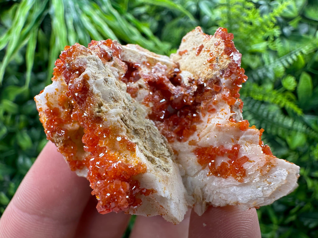 Red Vanadinite Crystal Cluster on Matrix, Morocco Mineral Specimen
