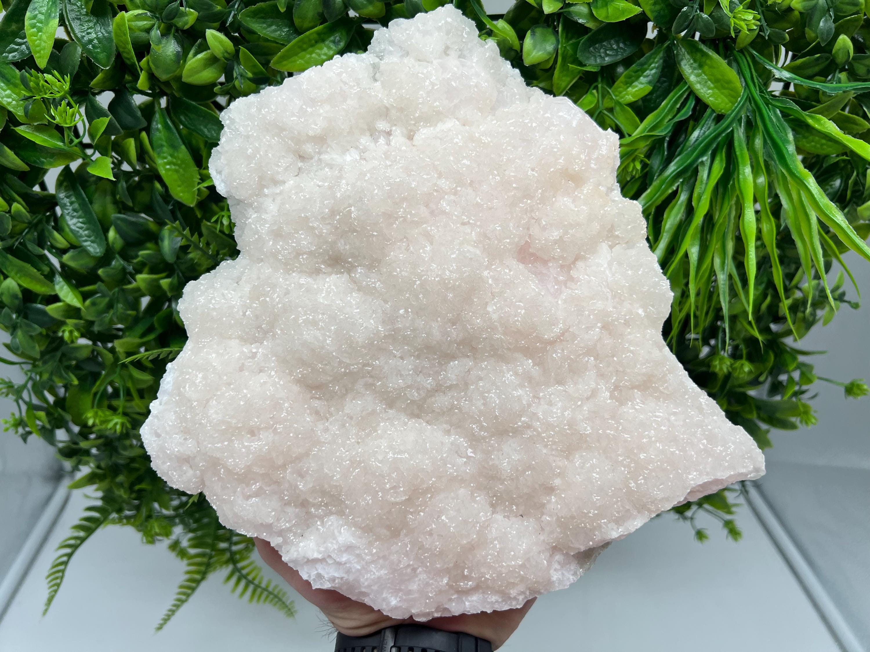 Mangano Calcite with Galena, Borieva Mine, Bulgaria