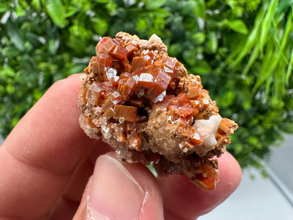 Red Vanadinite on Barite from Marocco,crystal minerals Speciment cluster Vanadinite crystal Vanadinite Geology Vanadinite cluster minerals