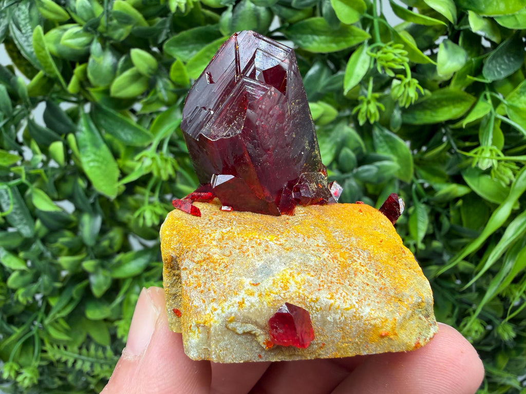 XXL Laboratory Pruskite Ruby Crystal on Matrix