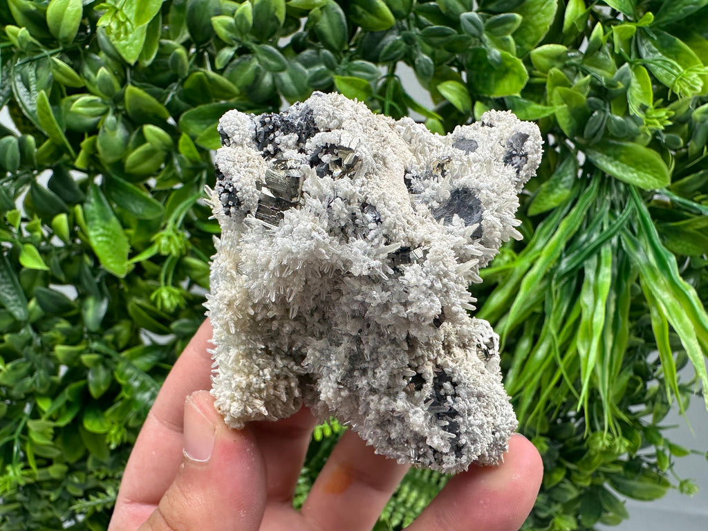 Galena Quartz Pyrite Specimen: Krushev Dol Mine Mineral Decor