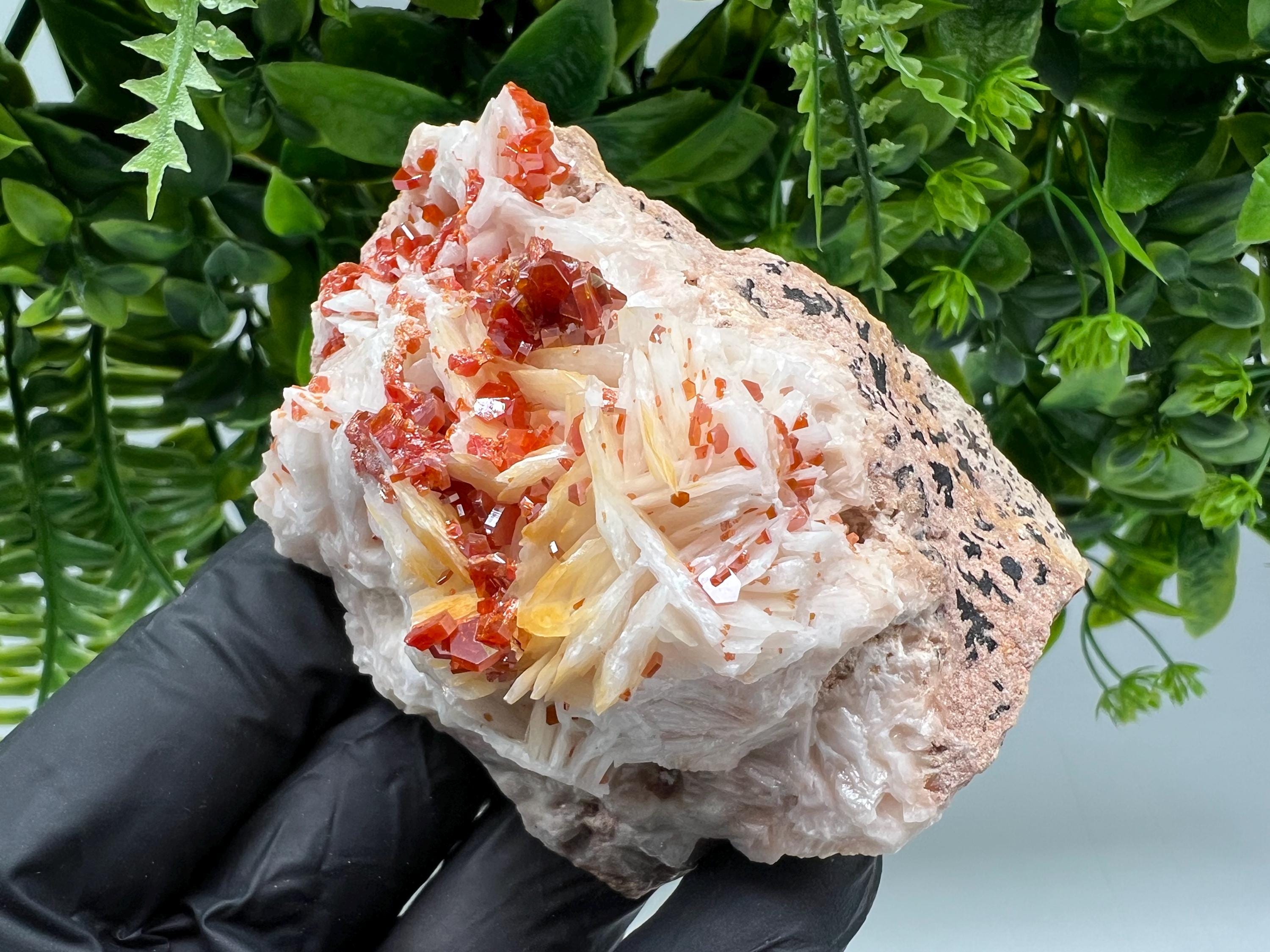 Red Vanadinite on Barite from Marocco,crystal minerals Speciment cluster Vanadinite crystal Vanadinite Geology Vanadinite cluster minerals