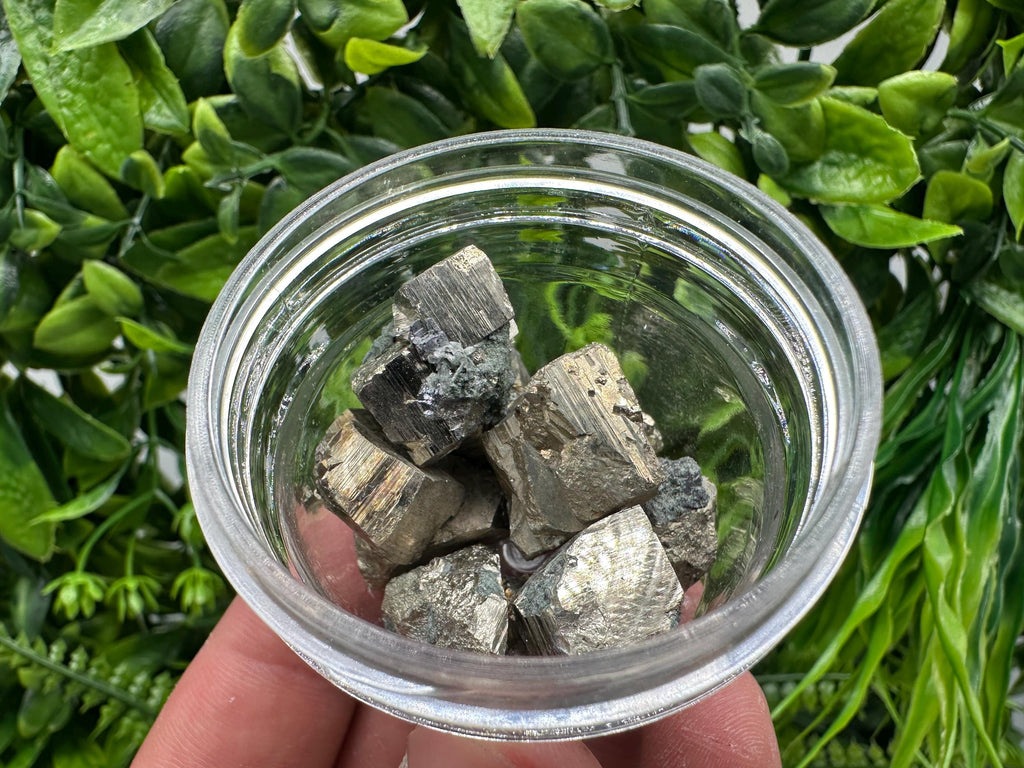 Golden Pyrite Cubes in Box: Collection Stone, Gift, Souvenir