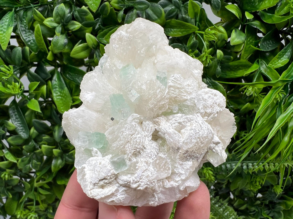 Transparent Apophyllite on Chalcedony Specimen, India Minerals