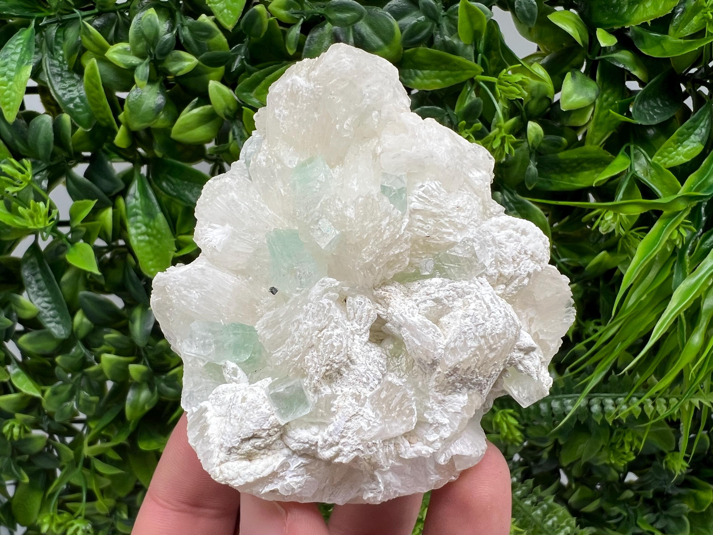 Transparent Apophyllite on Chalcedony Specimen, India Minerals