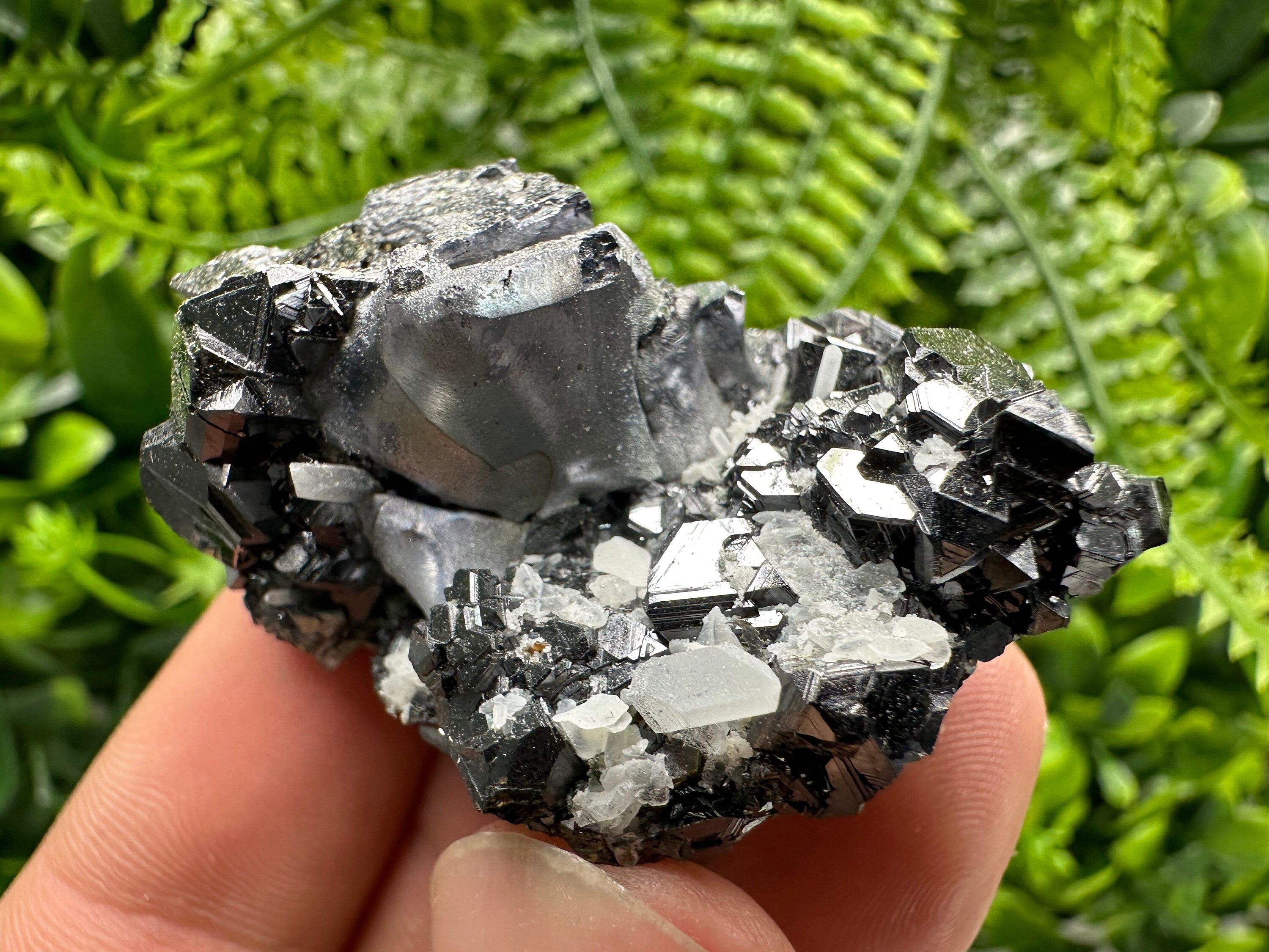 Mirror Galena on Sphalerite with Quartz, Borieva Mine Mineral Specimen