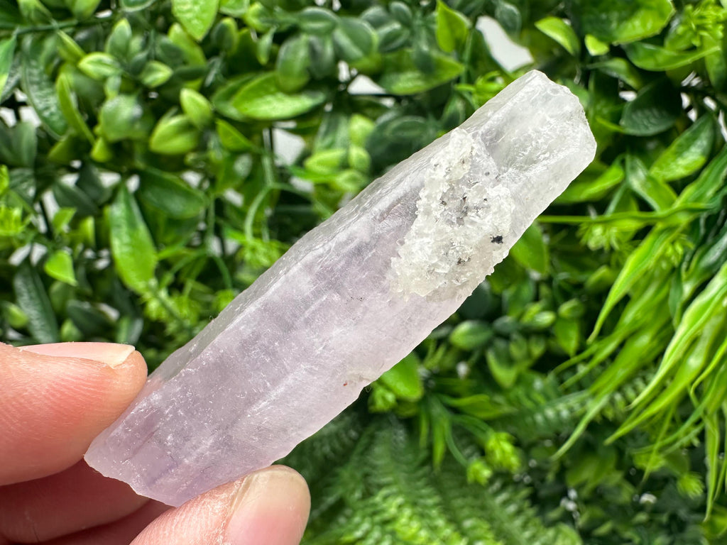 Amethyst Phantom Quartz Crystal with Chalcedony and Chlorite