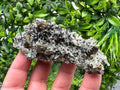 Pyrite on Needle Quartz Mineral Specimen, Borieva Mine, Bulgaria