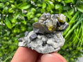 Transparent Sphalerite Gem: Rare Cleiophane Crystal, Bulgaria