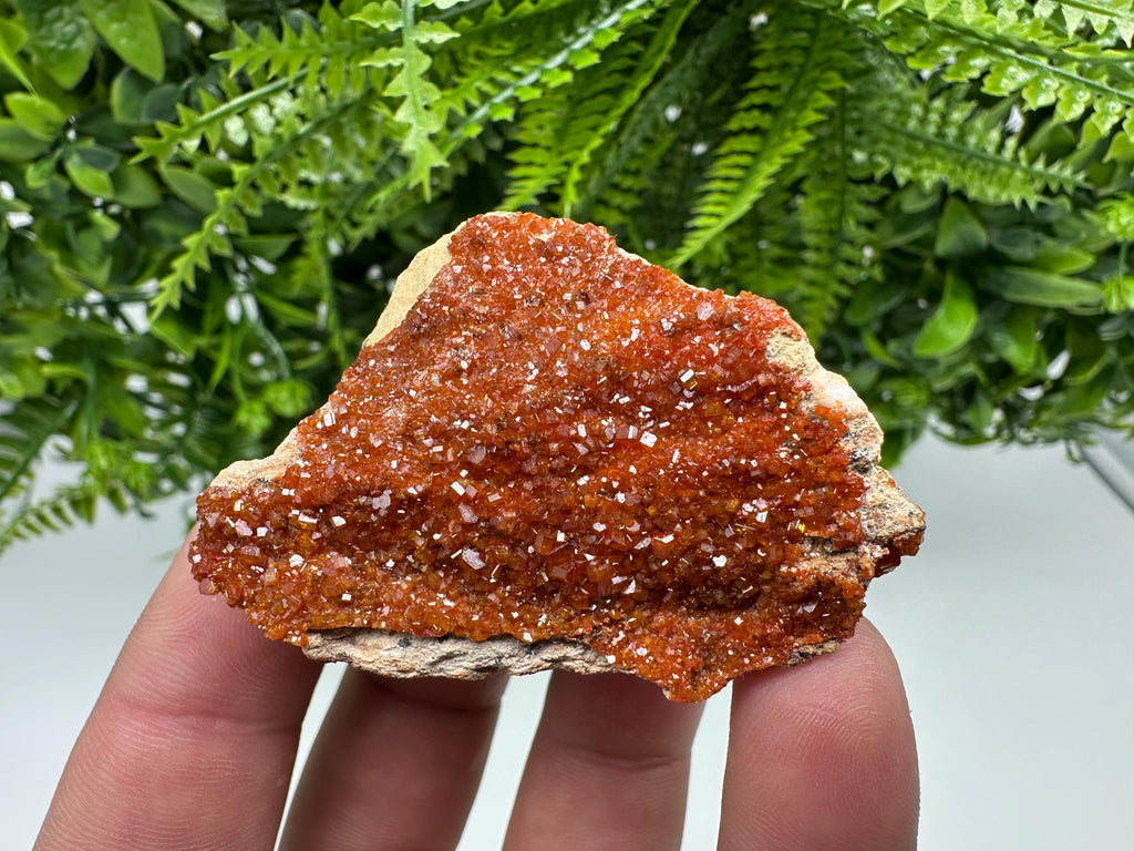Red Vanadinite Crystal on Barite, Morocco Mineral Specimen