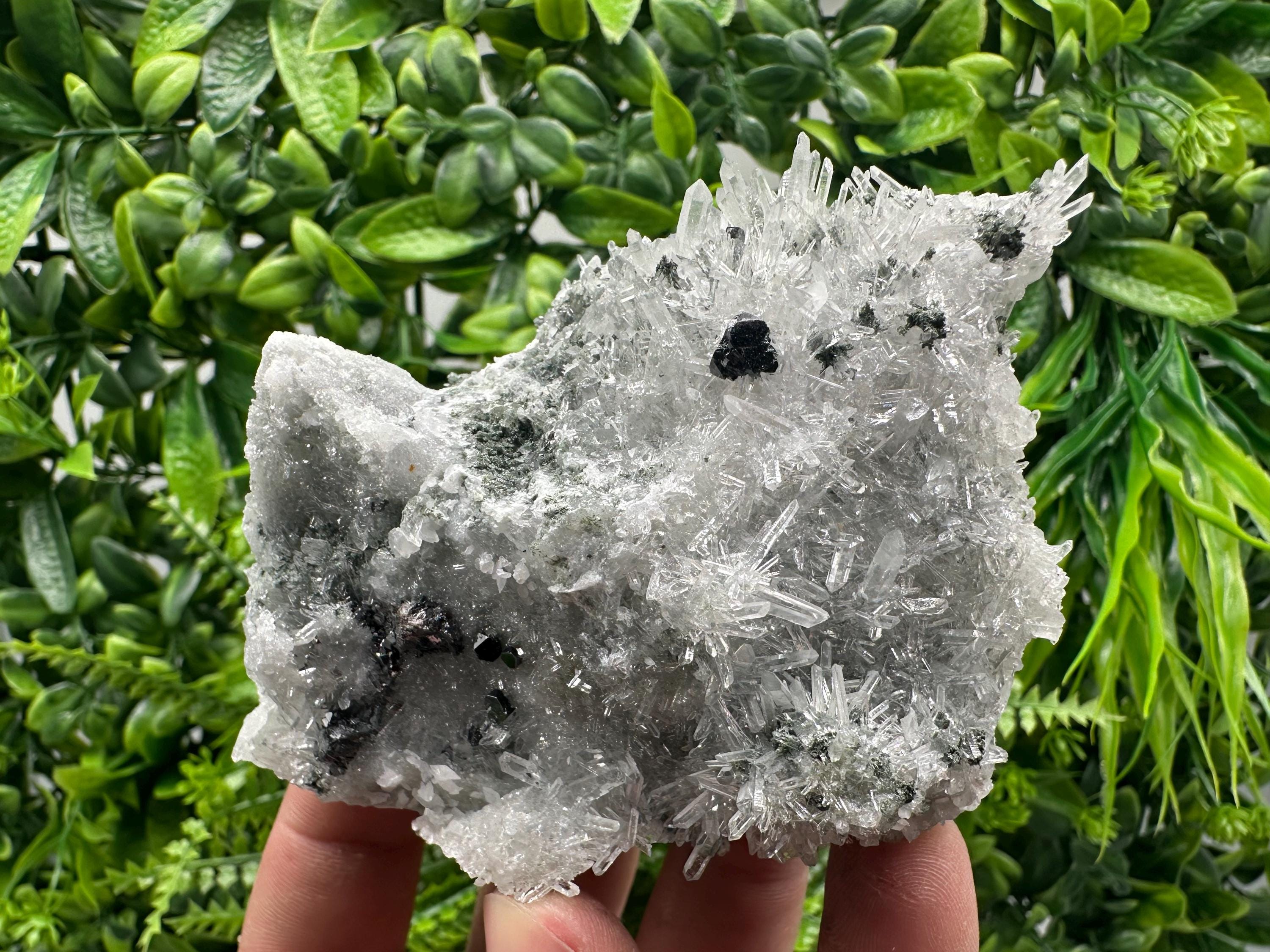 Sphalerite on Green Quartz, Borieva Mine Mineral Specimen
