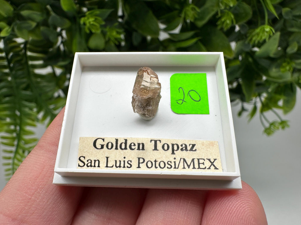 Golden Topaz Crystal, Mineral Specimen from Mexico