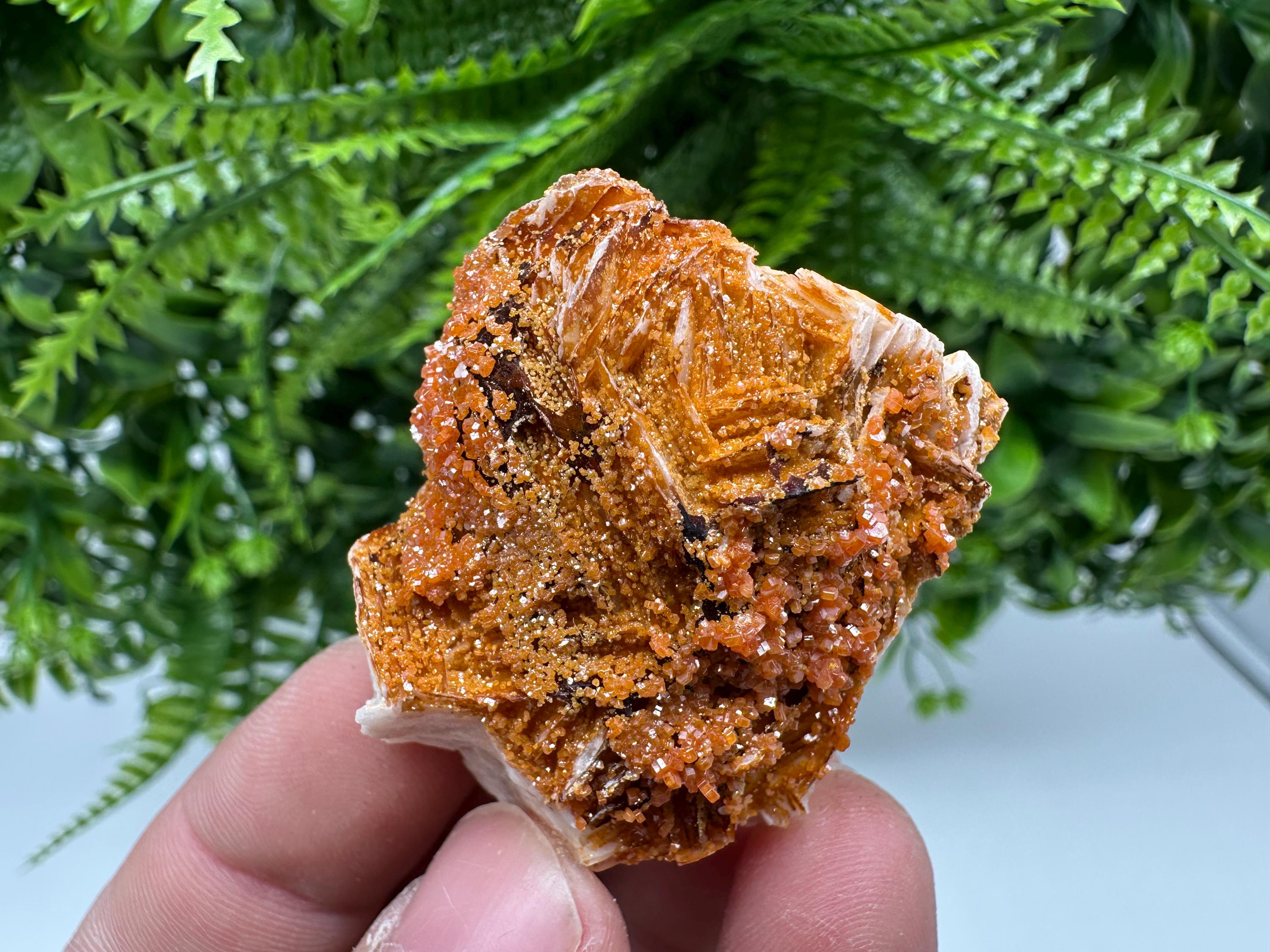 Red Vanadinite on Barite, Morocco Crystal Specimen