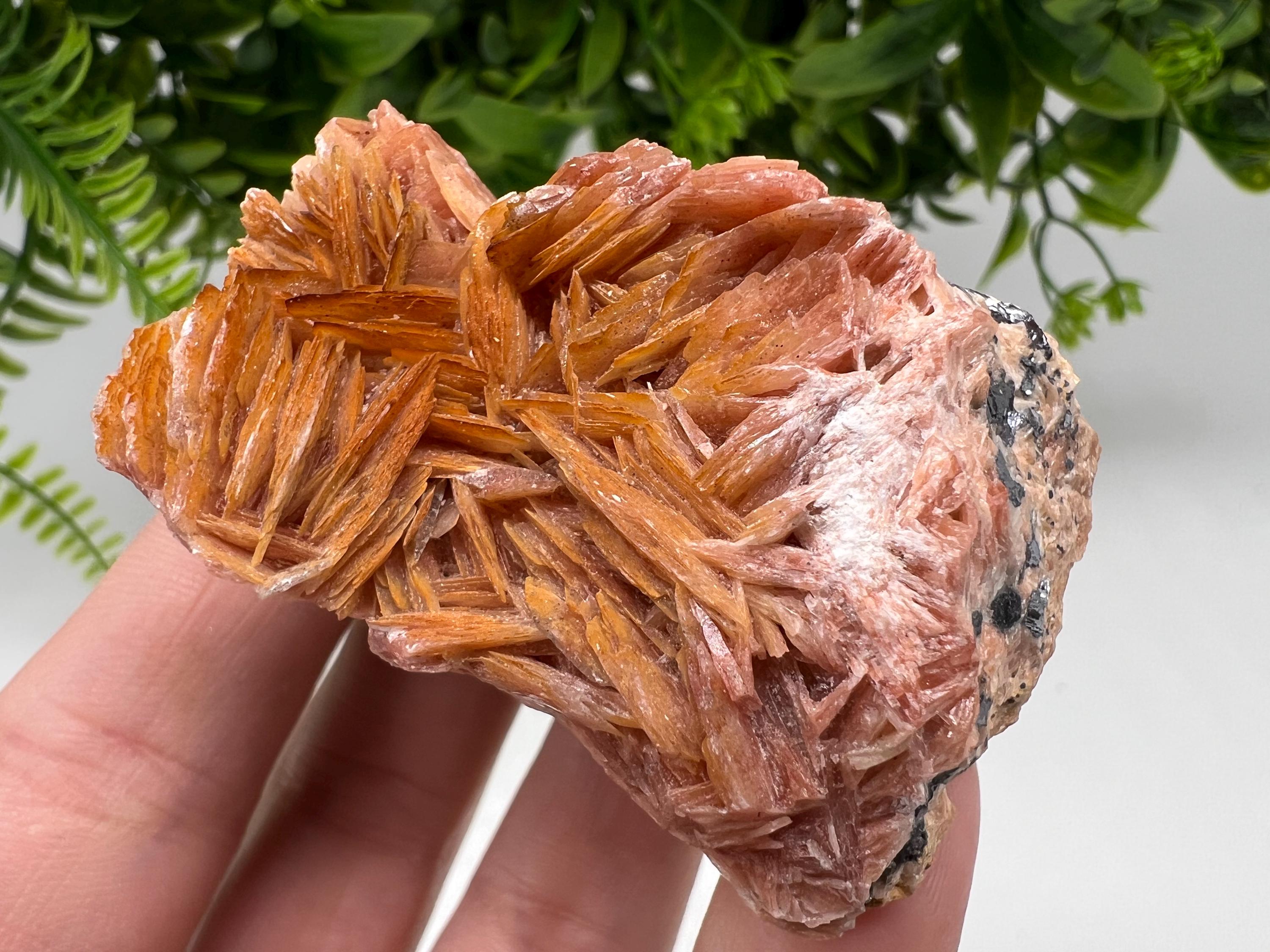 Moroccan Baryte Cluster with Cerussite on Galena