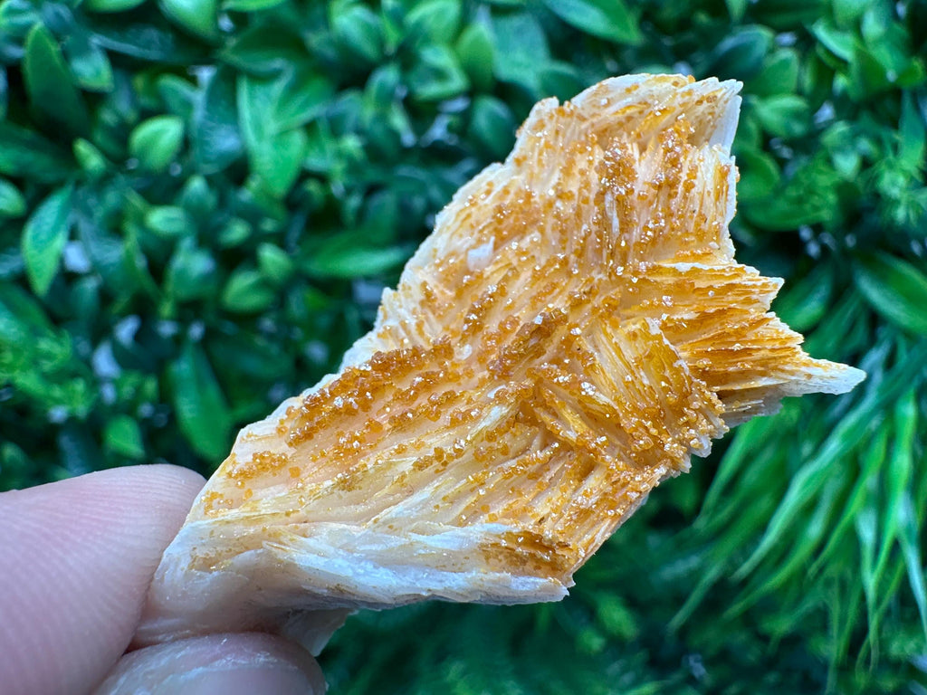 Red Vanadinite on Barite, Morocco Crystal Specimen