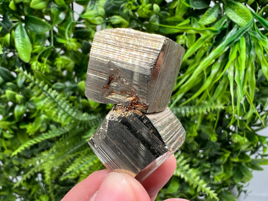 Rare Mini Pyrite Cluster: Borieva Mine, Bulgaria