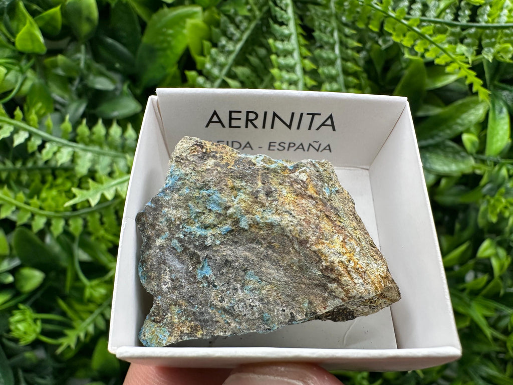 Rare Raw Aerinite Mineral Specimen, Lleida Spain Crystal