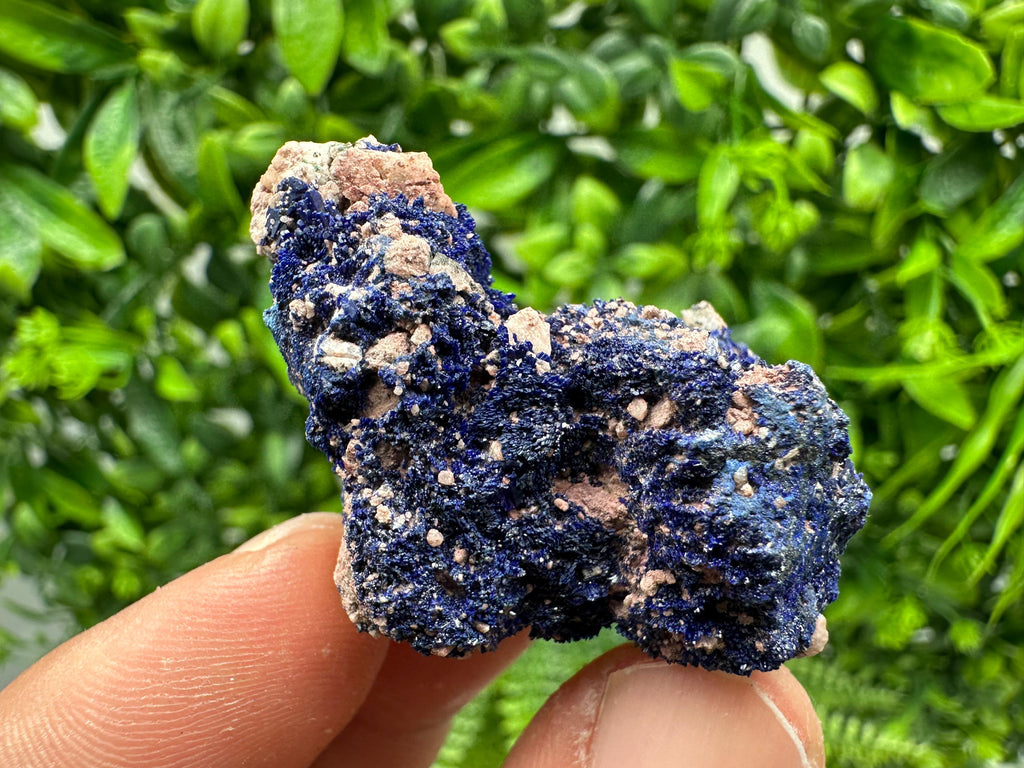 Crystallized Azurite-Kerrouchen,Morocco-Blue Azurite Specimen-High Quality Blue Azurite-Azurite Mineral Specimen, gemmy,lustrous of Azurite