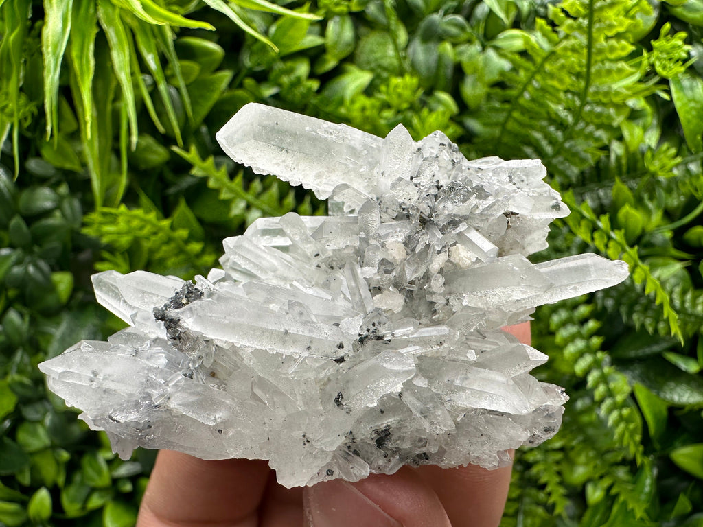 Quartz Calcite Chlorite Crystal: Borieva Mine, Bulgaria