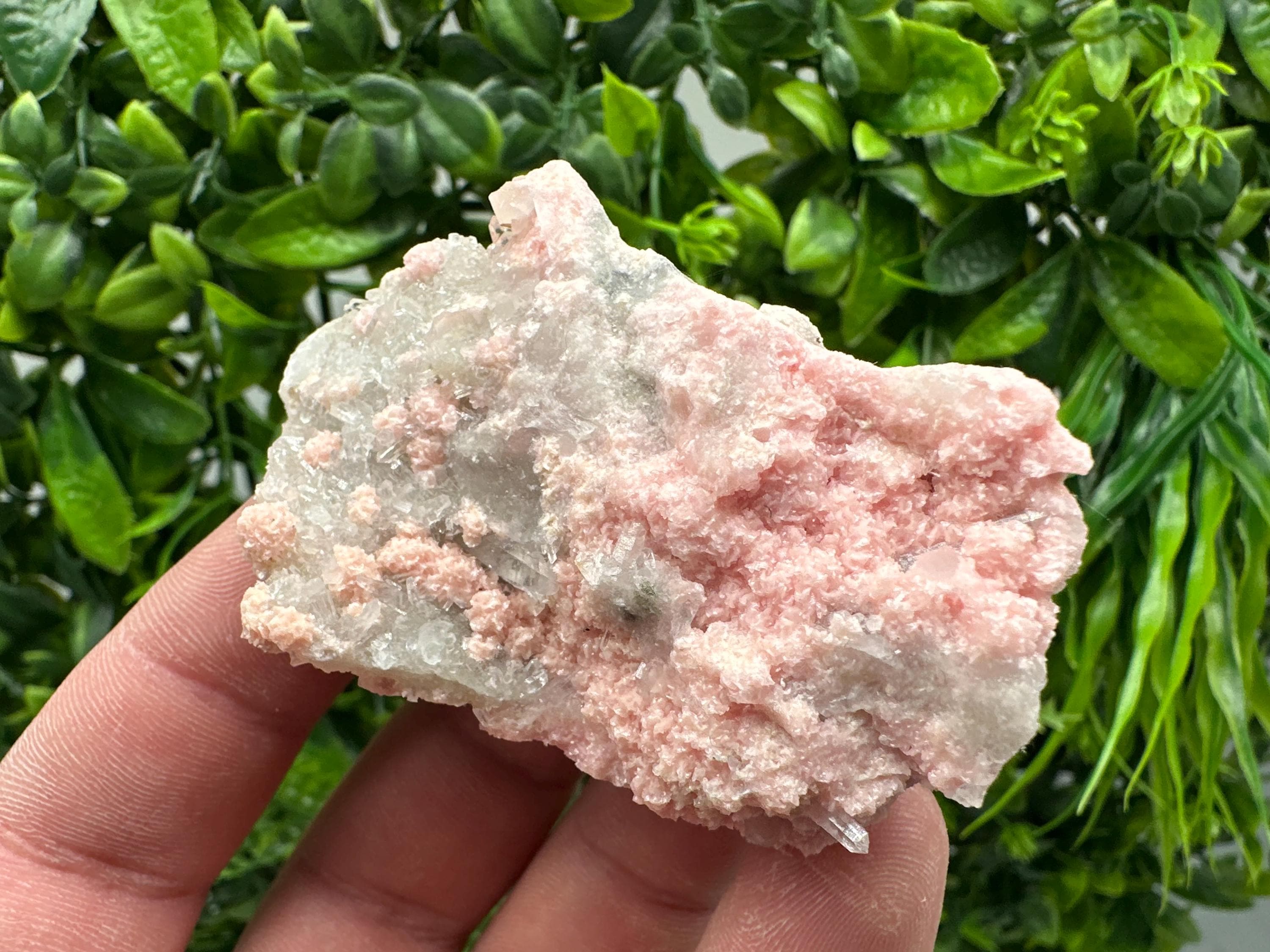 Rhodochrosite on Quartz, Starnica Mine, Bulgaria Crystal