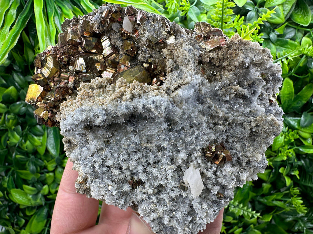 Pyrite on Quartz and Calcite: Natural Mineral Collection, Borieva Bulgaria