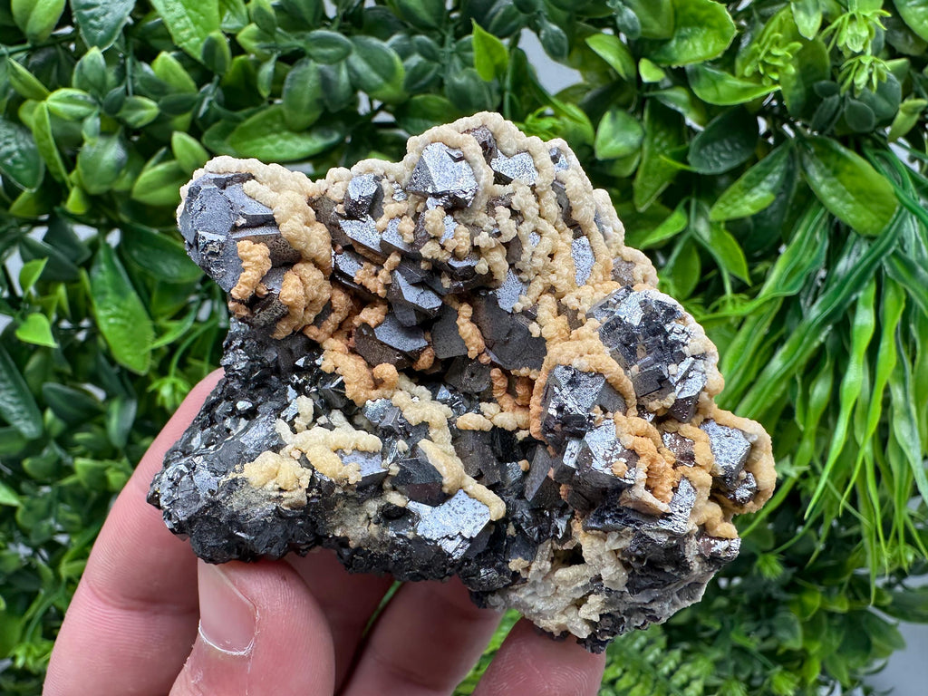 Galena with Dolomite Cluster, Krushev dol Bulgaria