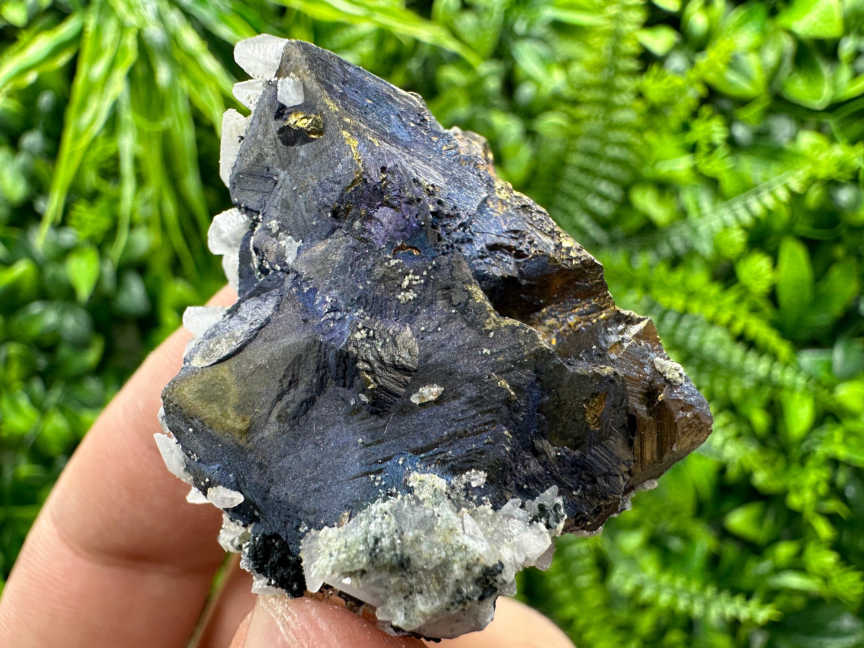 Chalcopyrite Borinite Covelline Mineral Specimen: Djurcovo Mine, Bulgaria