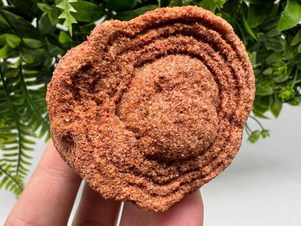 Moroccan Stromatolite Fossil Specimen, Grounding Meditation Stone