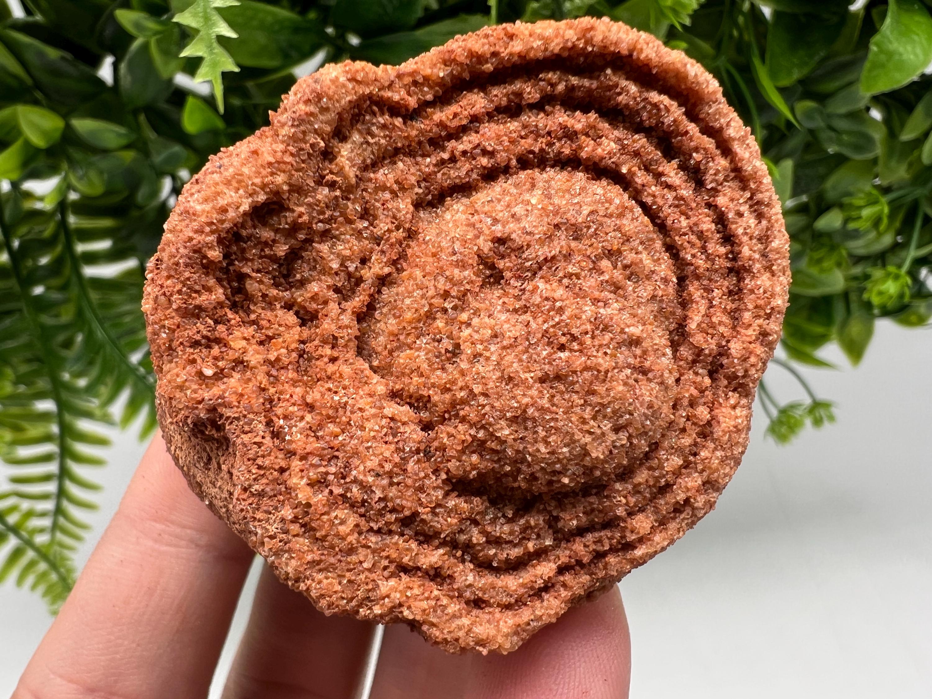 Moroccan Stromatolite Fossil Specimen, Grounding Meditation Stone