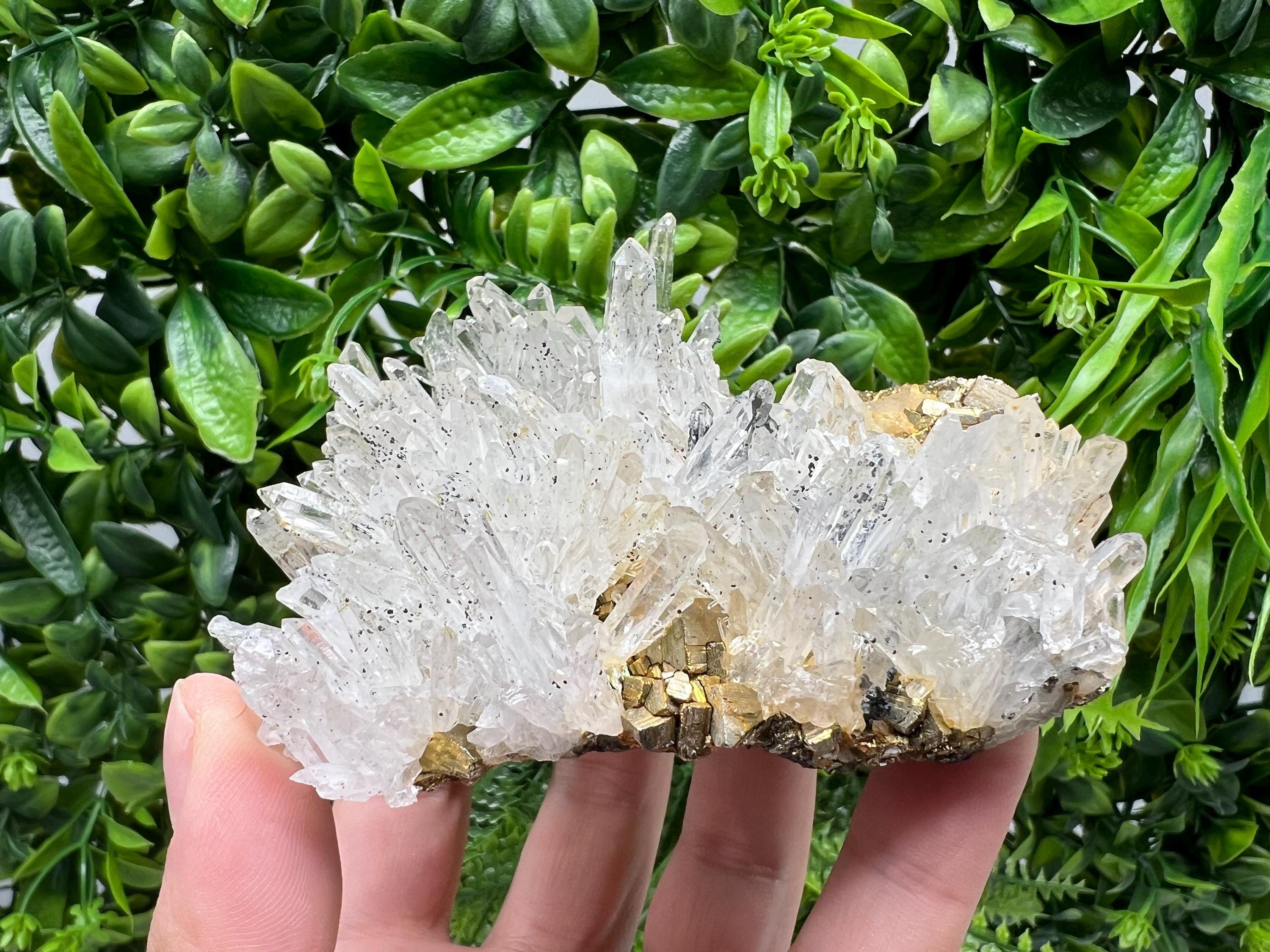 Stunning Transparent Quartz,from Borieva mine,natural collection mineral specimen rare crystal,home decor crystal,quartz cluster,Quartz,gift
