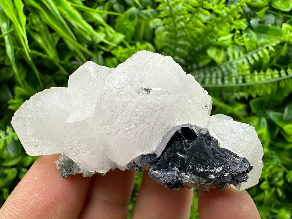 Fluorescent Calcite with Galena, Borieva Mine Crystal, Bulgaria