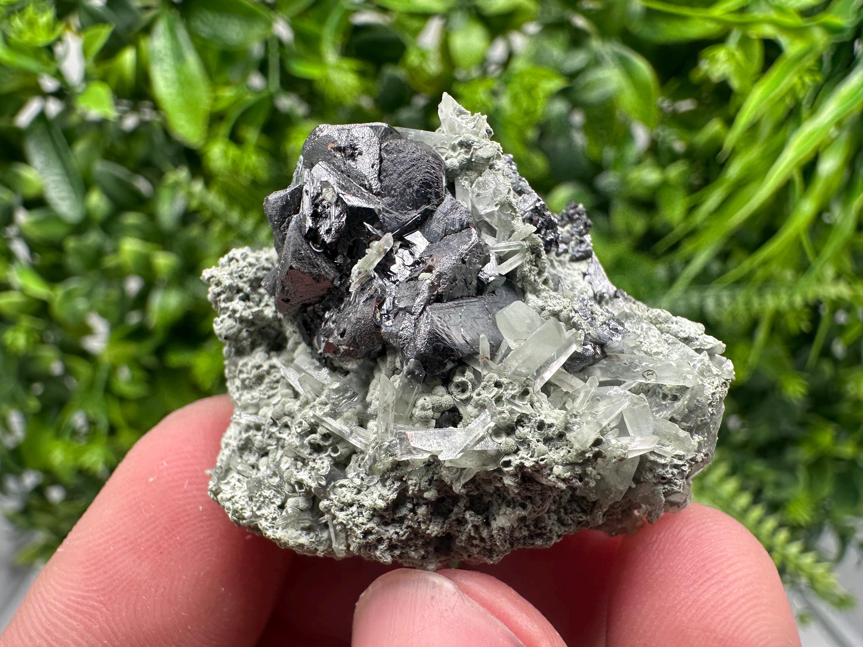 Sphalerite with Chlorite Mineral Specimen - Borieva Mine, Bulgaria
