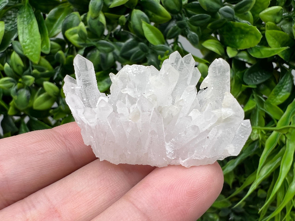Wonderful Transparent Quartz on Chlorite Matrix,From Borieva mine,Madan,Bulgaria,Quartz,Quartz crystal,mineral specimen,collection quartz