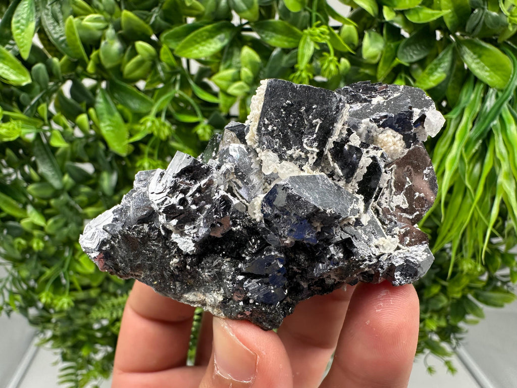 Rare Mirror Galena Cubes: Marzyan Mine, Bulgaria