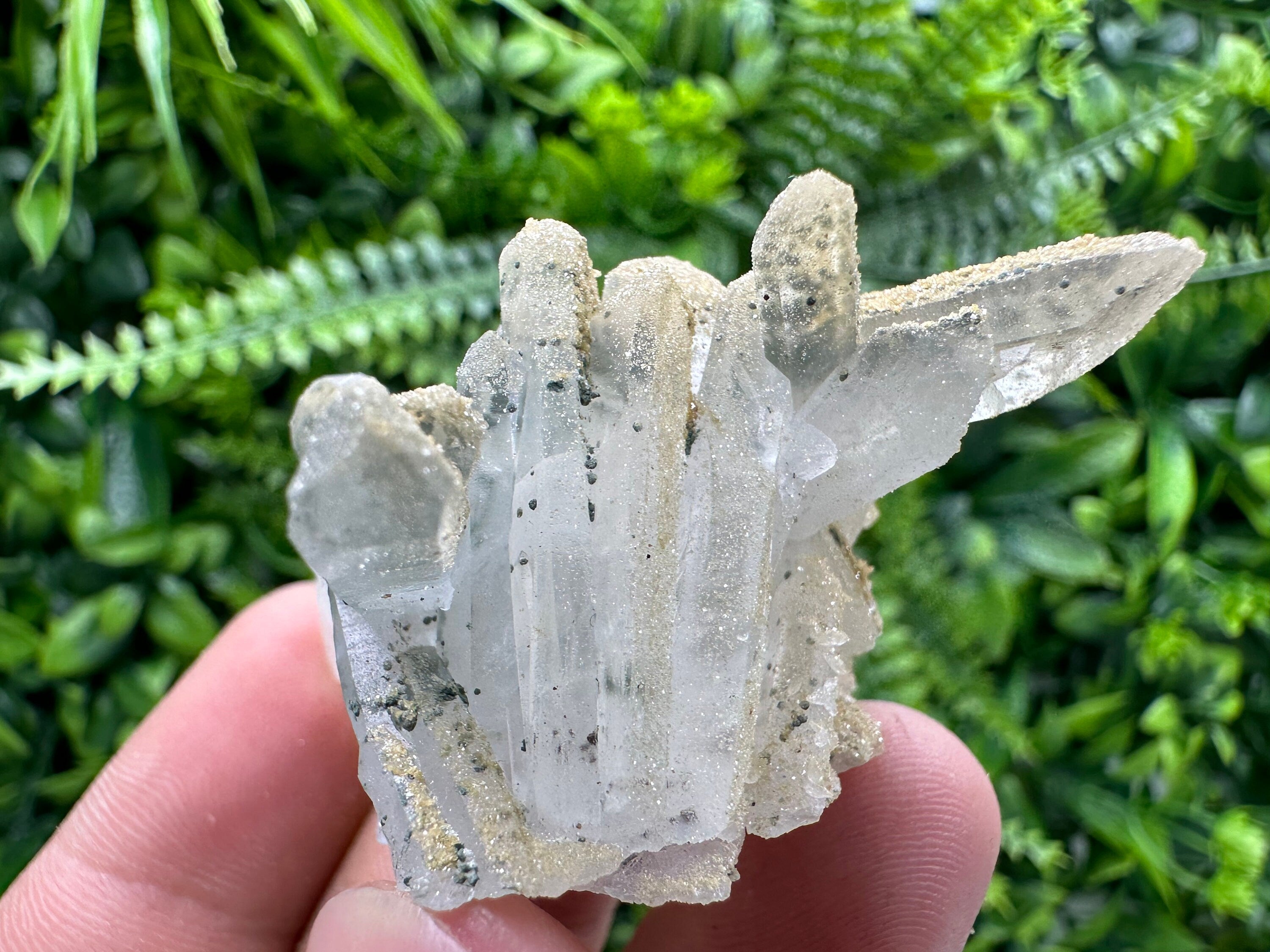 Quartz Rhodochrosite Cluster, Djurcovo Mine Mineral Specimen