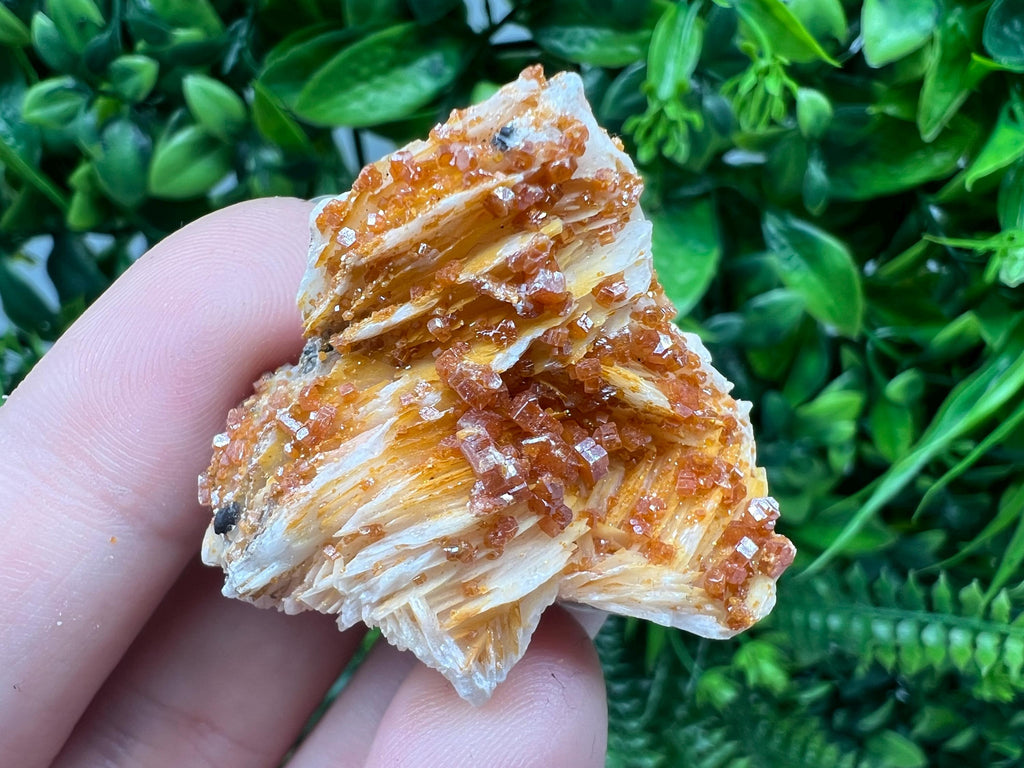 Red Vanadinite on Barite from Marocco,crystal minerals Speciment cluster Vanadinite crystal Vanadinite Geology Vanadinite cluster minerals