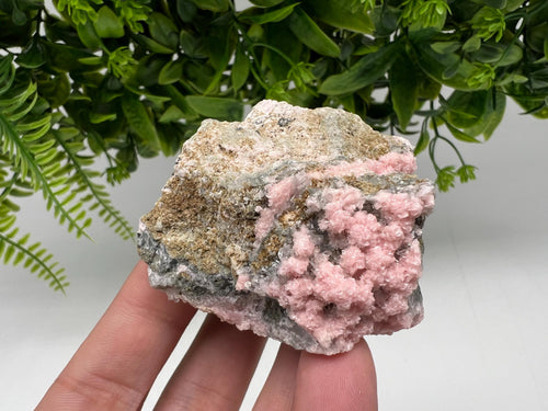 Beautiful Rhodochrosite perfect pink color Starnica Mine Davidcovo Bulgaria natural minerals souvenir crystal gift home decor stone gift