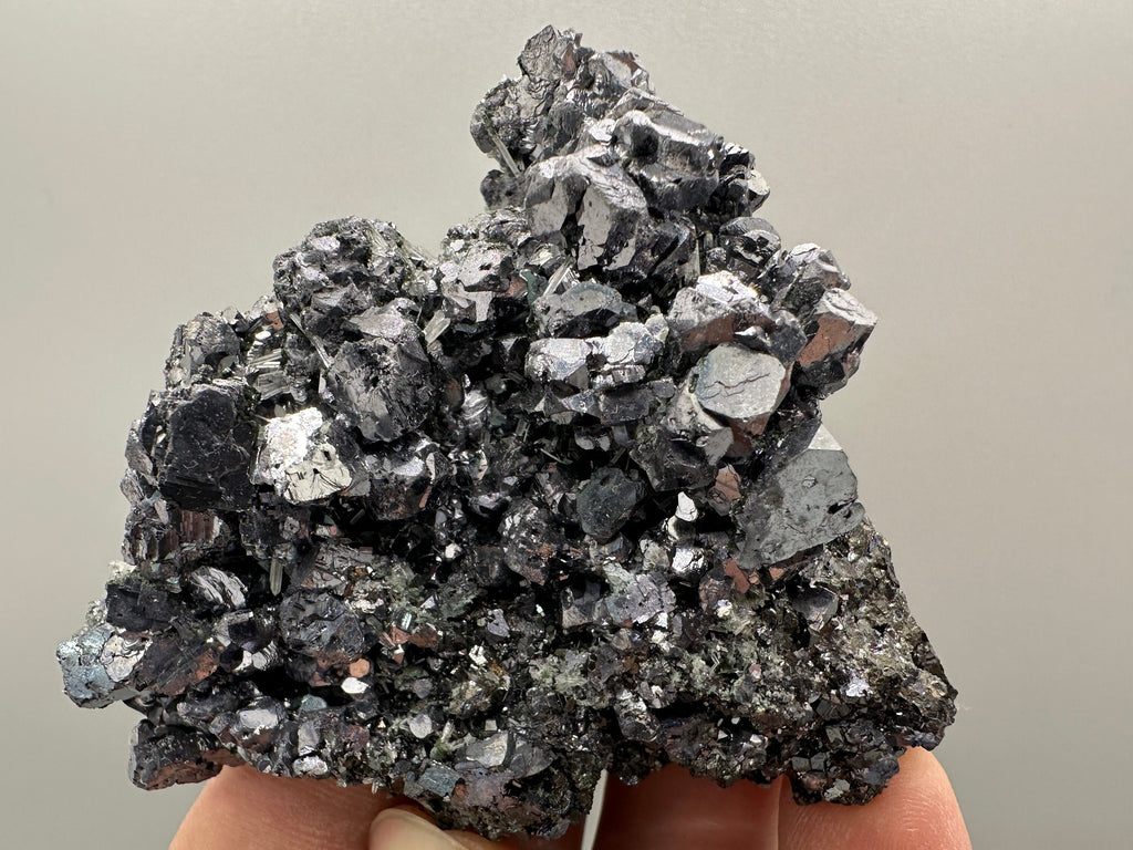 Shiny Galena on Sphalerite, Borieva Mine, Bulgaria