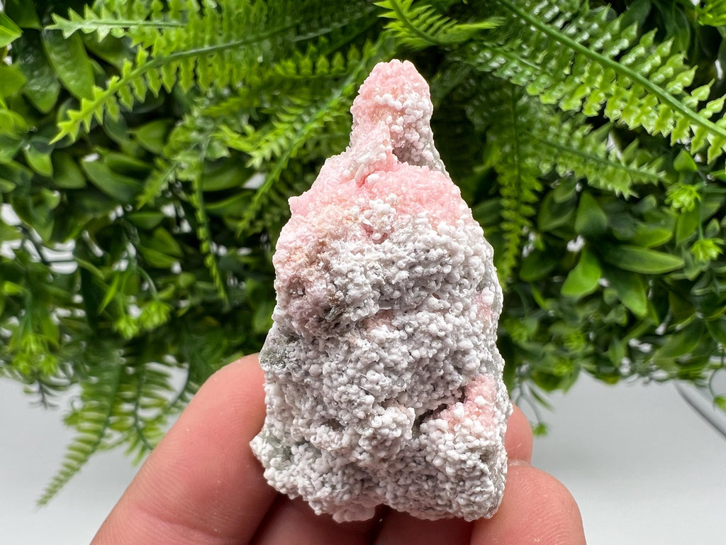 RARE Rhodochrosite with White Calcite, Starnica Mine Bulgaria