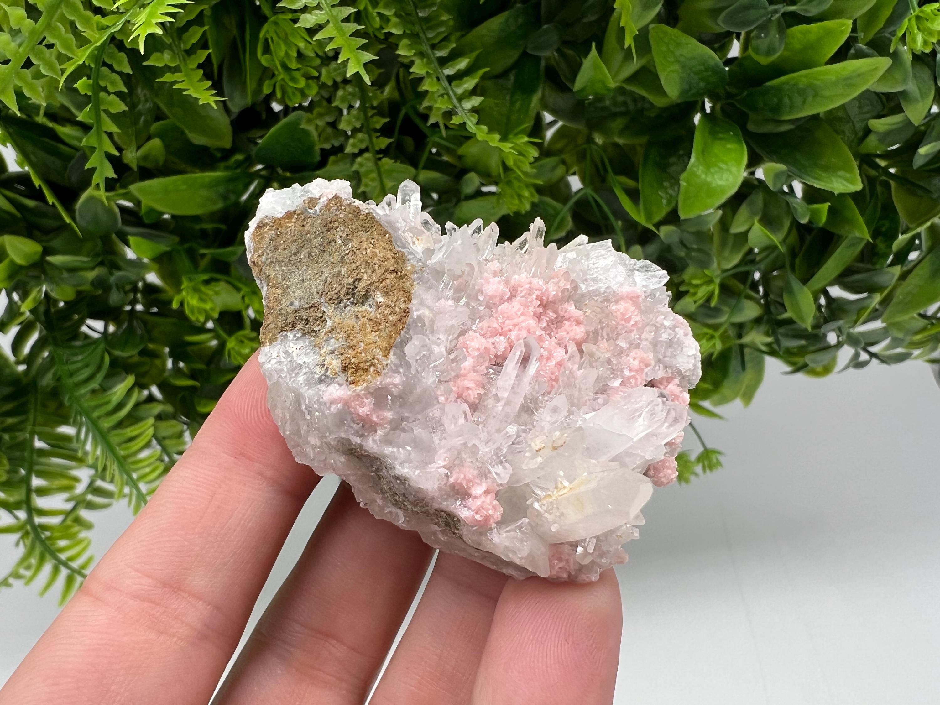 Pink Rhodochrosite Crystal, Starnica Mine Bulgaria