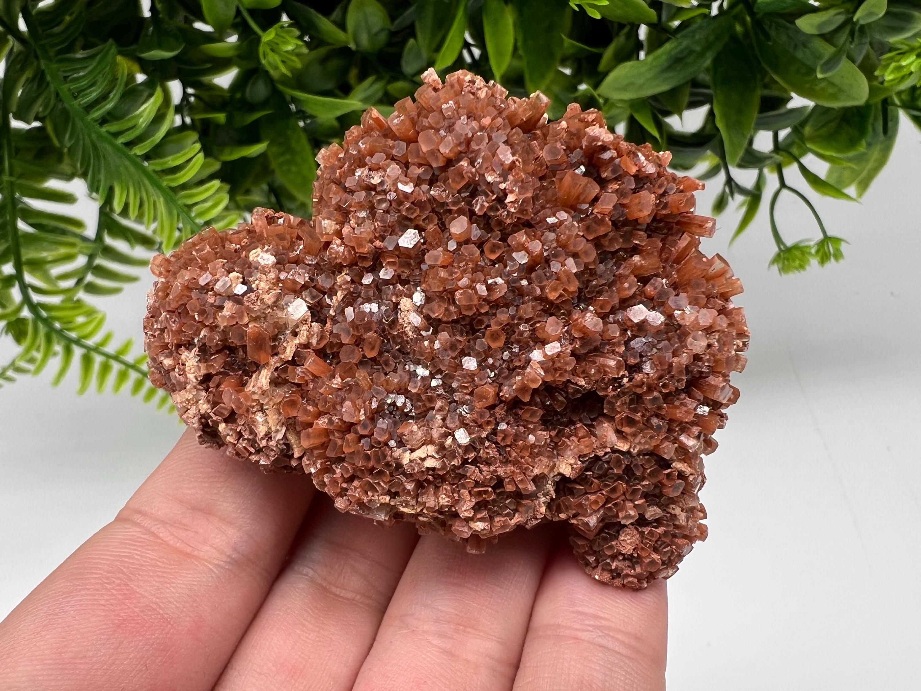 Large Aragonite Sputnik Cluster: Raw Moroccan Crystal Stone, Home Decor