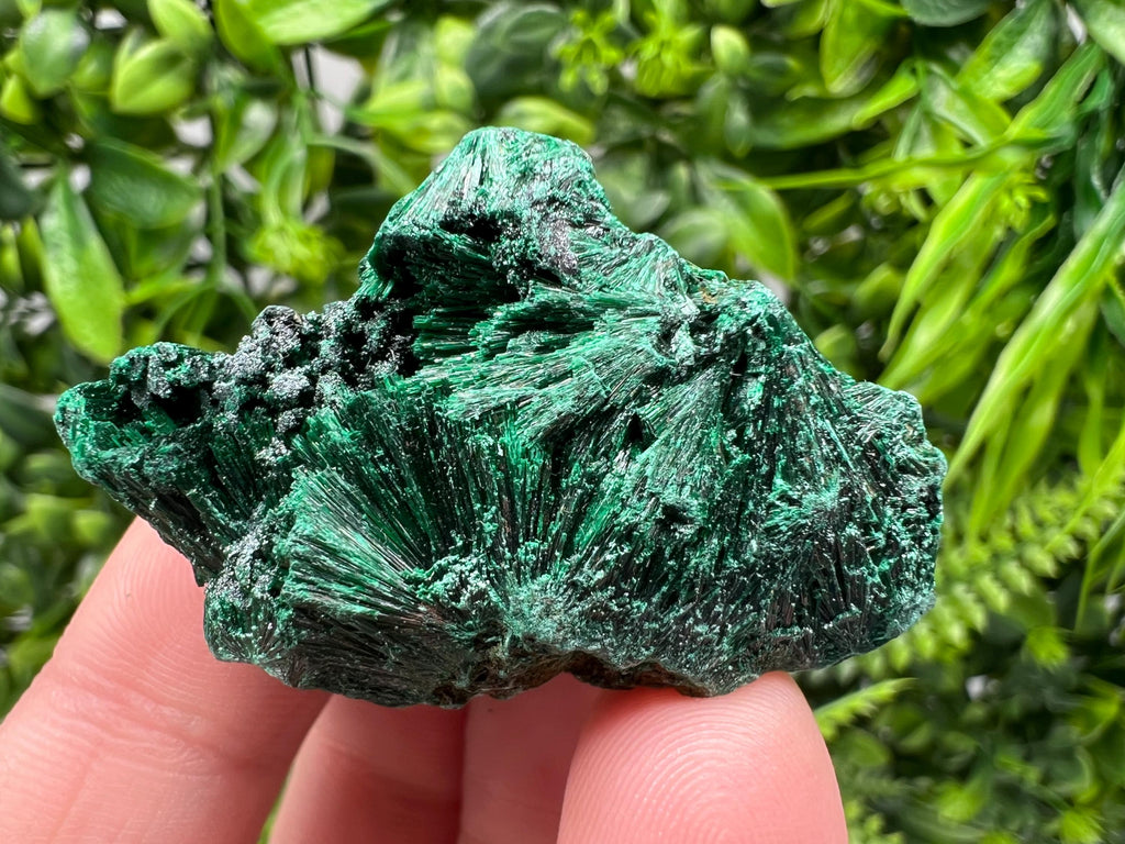 Malachite Crystal from Congo,Minerals,Crystals from Congo,Green Malachite, Malachite,Natural Malachite,Malachite Stone,Chakra, Specimens