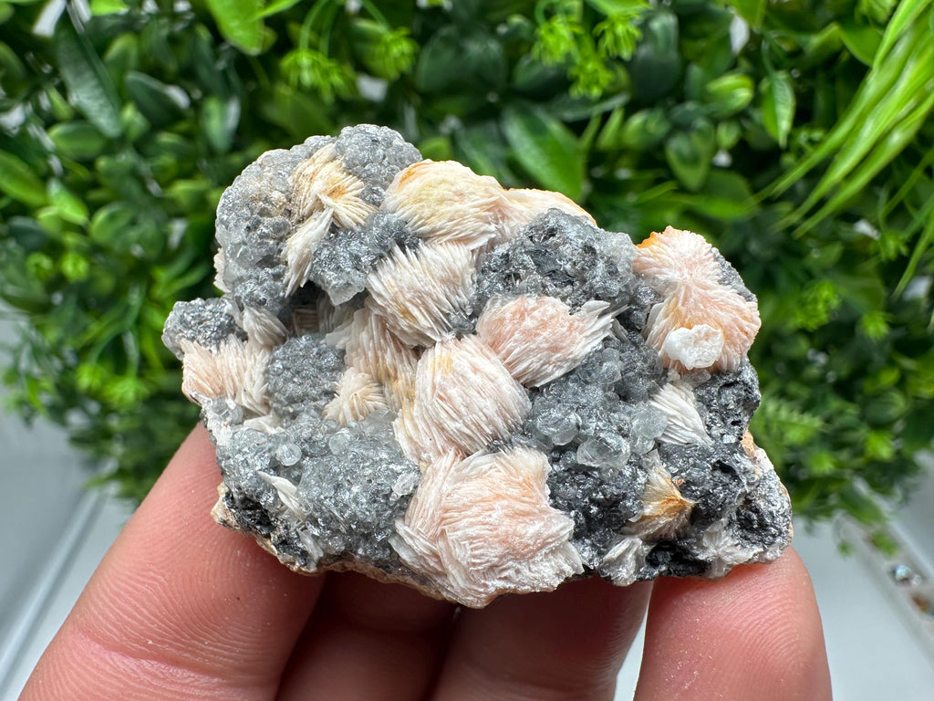 Wonderful Baryte with Cerussite on Galena from Morocco,Crystal, Mineral,Specimen,Cluster,Crystals,Barite Crystal,Cerussite Crystal,Specimen
