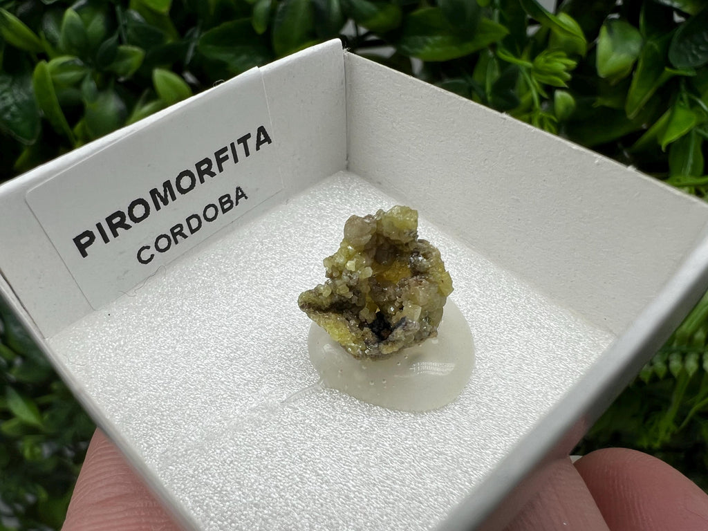 Pyromorphite Stone / Pyromorphite on Matrix / Pyromorphite Crystal / Raw Crystal / Pyromorphite Cluster / Rough Pyromorphite / Pyromorphite