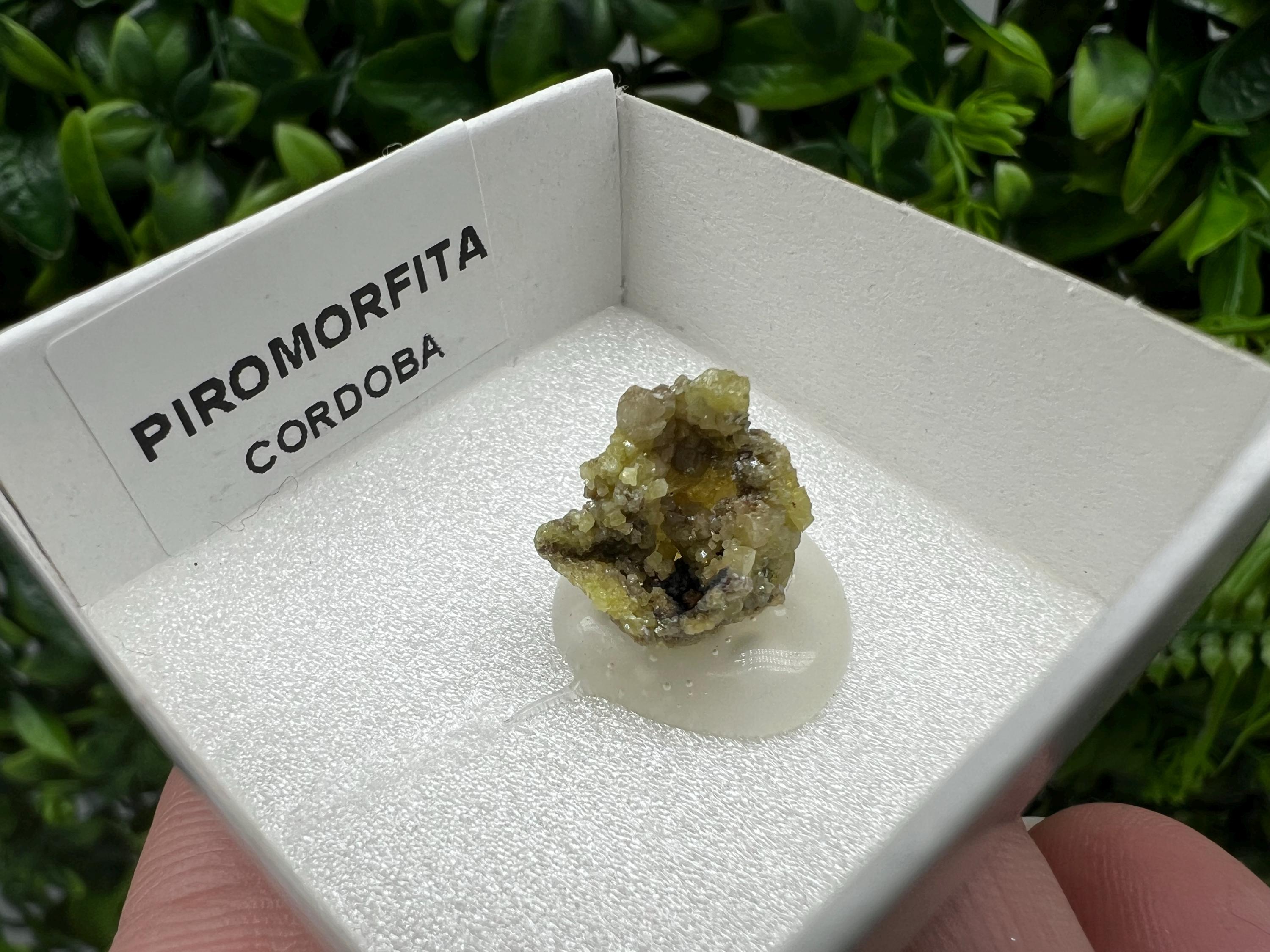 Pyromorphite Stone / Pyromorphite on Matrix / Pyromorphite Crystal / Raw Crystal / Pyromorphite Cluster / Rough Pyromorphite / Pyromorphite