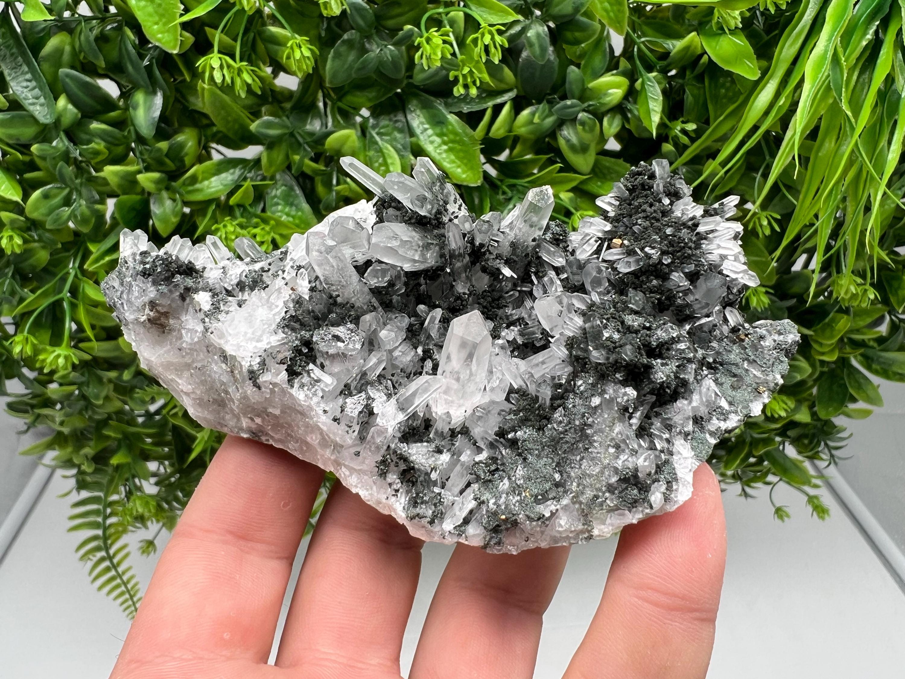 Chlorite Quartz Crystal Cluster - Borieva Mine, Bulgaria